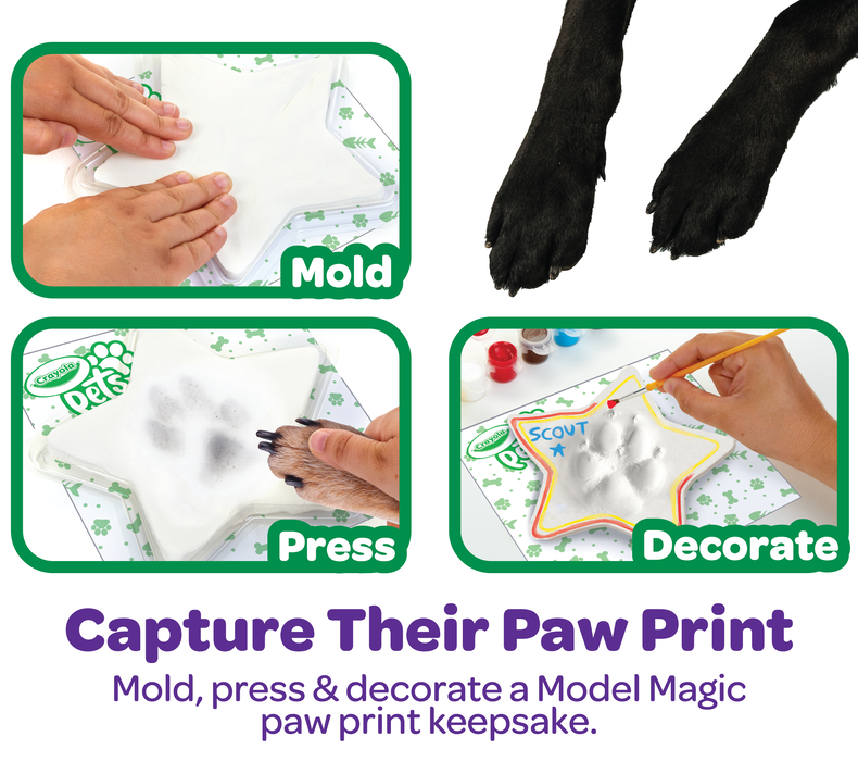 Crayola Pets Paw Print Keepsake Kit, Star